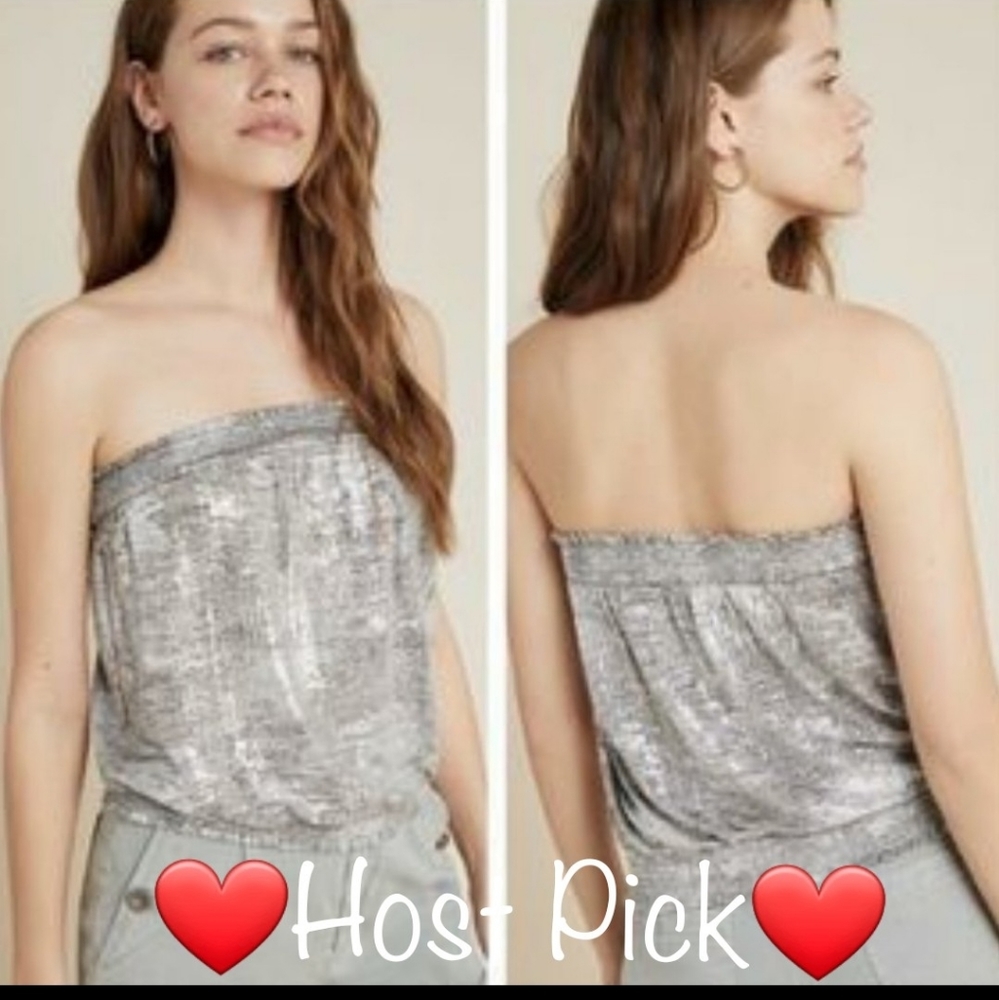 Silver Shimmer Shine  - Anthropologie Tube Top - Picture 7 of 9